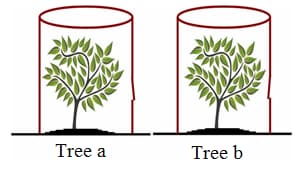 Role of tree